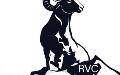 Rocky View Construction